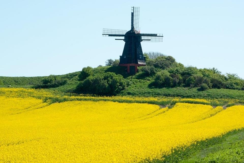 Vila Feriehytten Honsehuset Løkken Exteriér fotografie